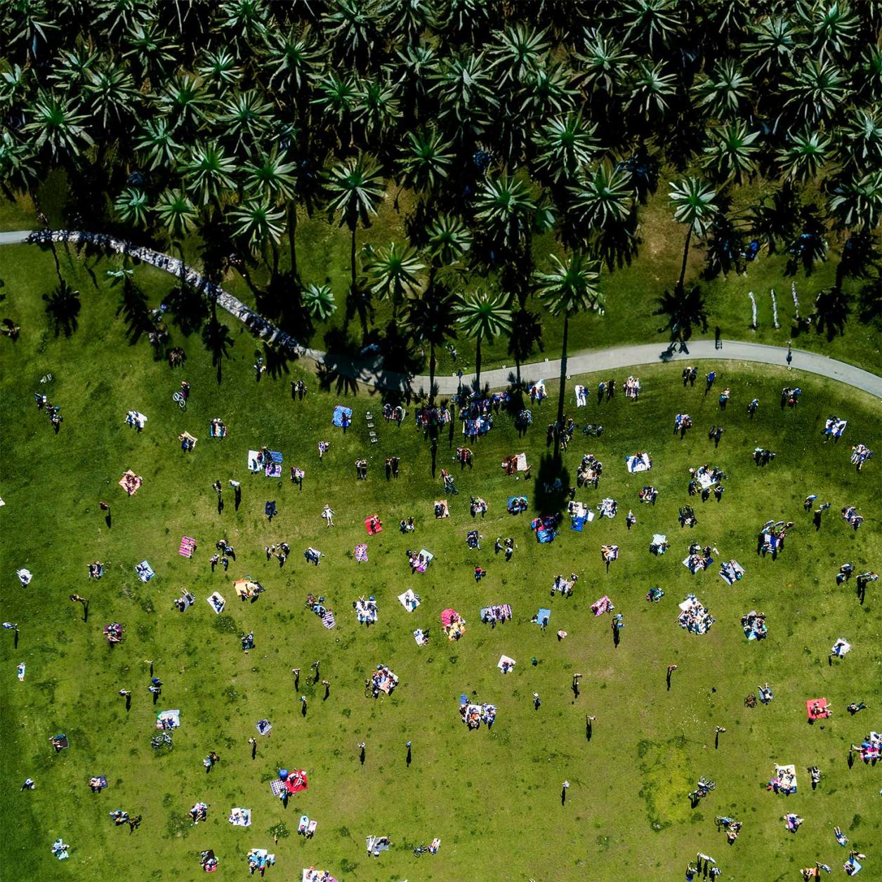 Crowd gathered in a park