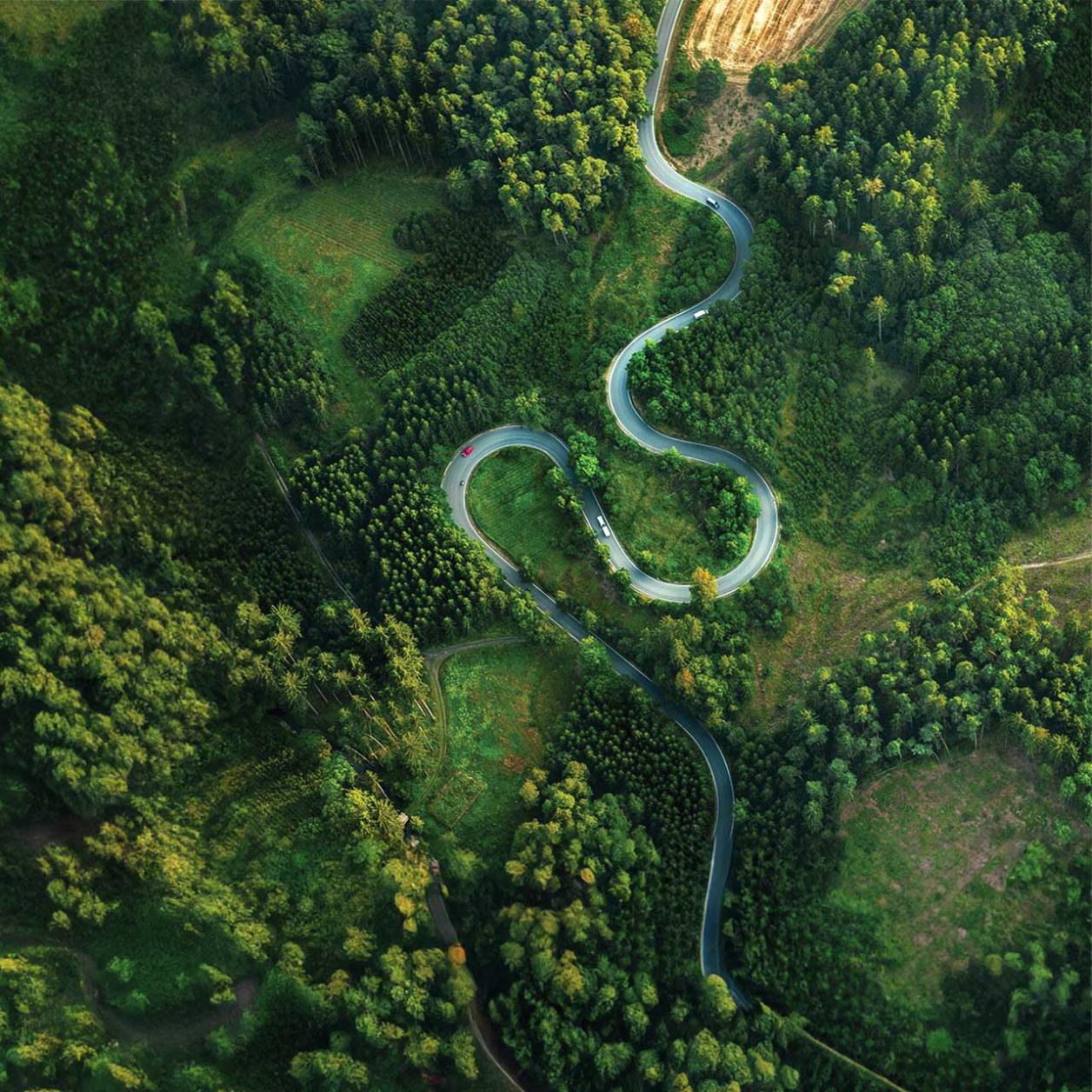 Aerial view of a long winding road